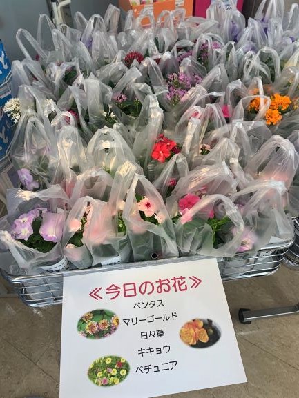 お花の日（本店）② 圧縮